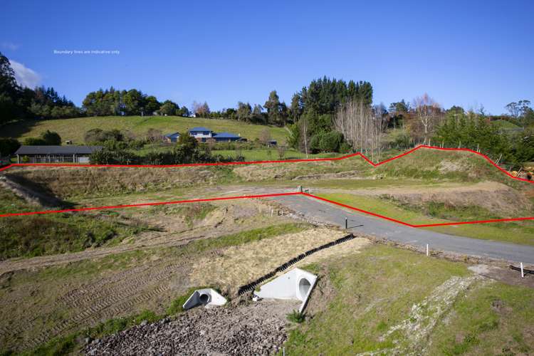 10 Willow Lane Acacia Bay_5