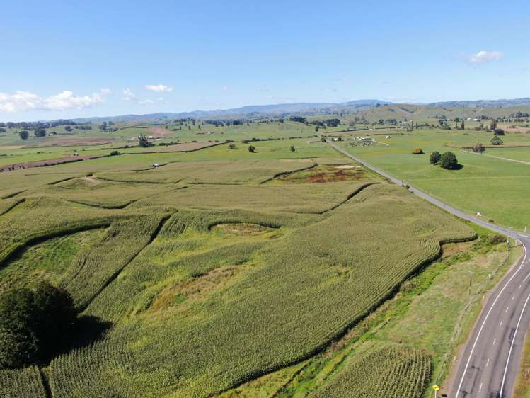 1375 State Highway 3 Otorohanga_9