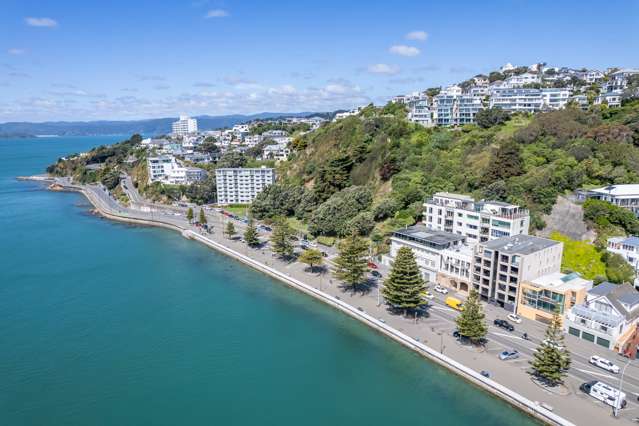 1/346 Oriental Parade Oriental Bay_1