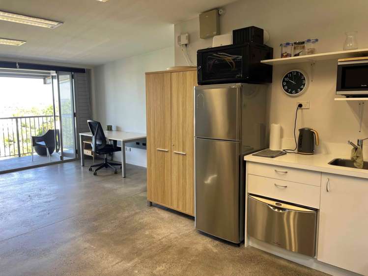 166 Richmond Road Grey Lynn_5