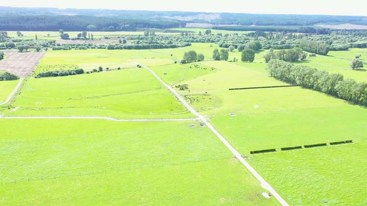 4980 Galatea Road Murupara Surrounds_10