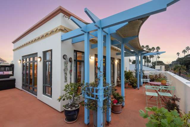 243 Emerson Street Napier Central_1