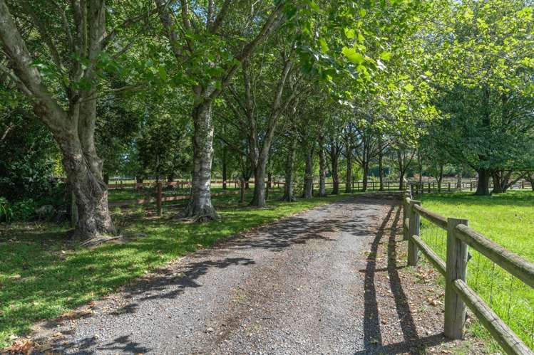 19 Tirohanga Road Mosgiel_27