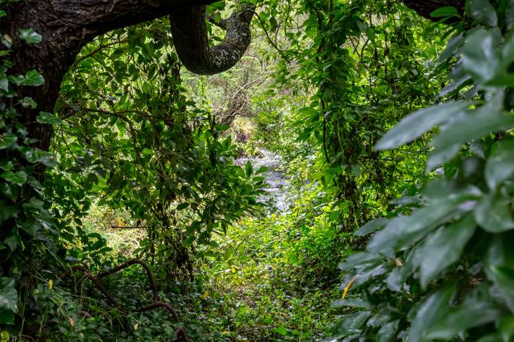 80 Johnston Street Featherston_15