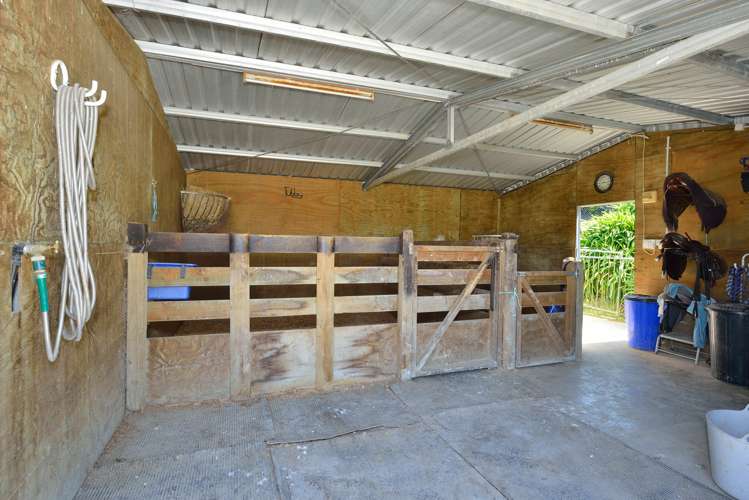 63 Brown Road Ormond_27