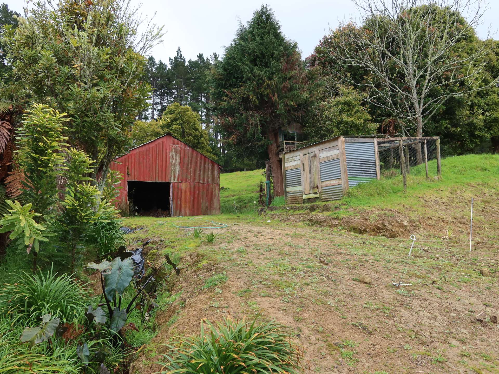 2418 Tangowahine Valley Road Dargaville Surrounds Kaipara Houses