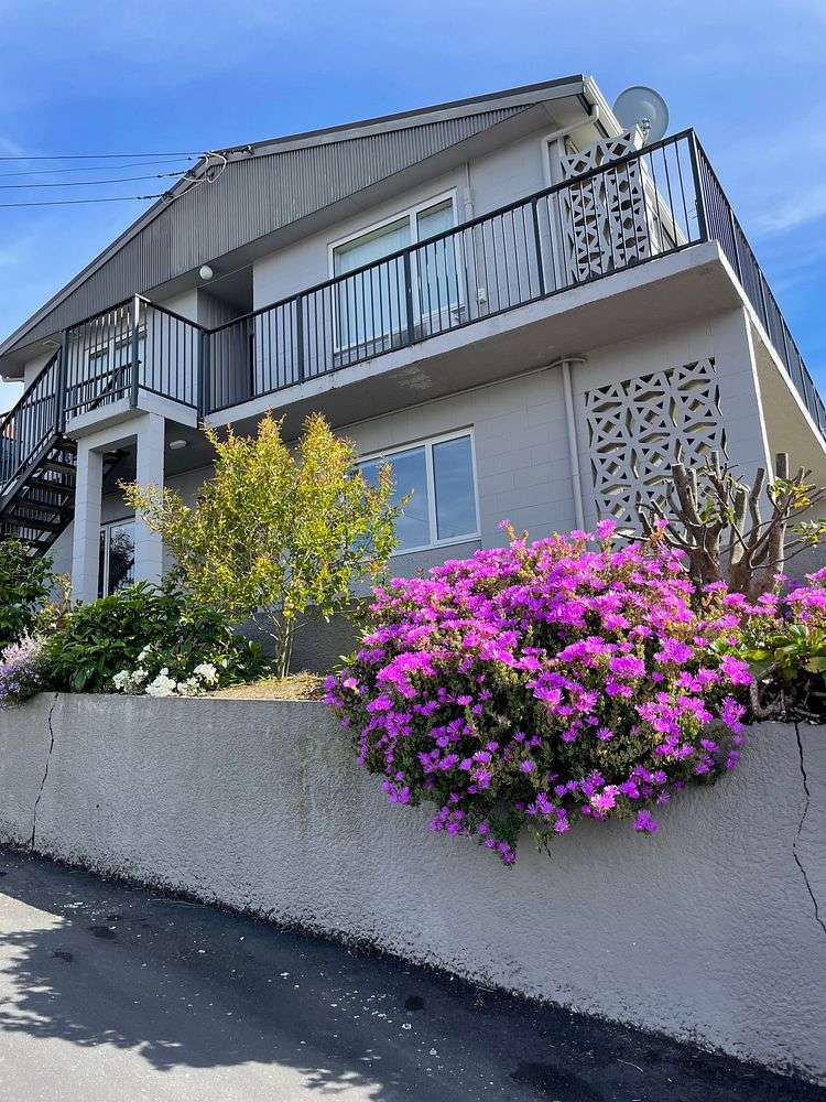 65E Duncan Street Dunedin Central_9