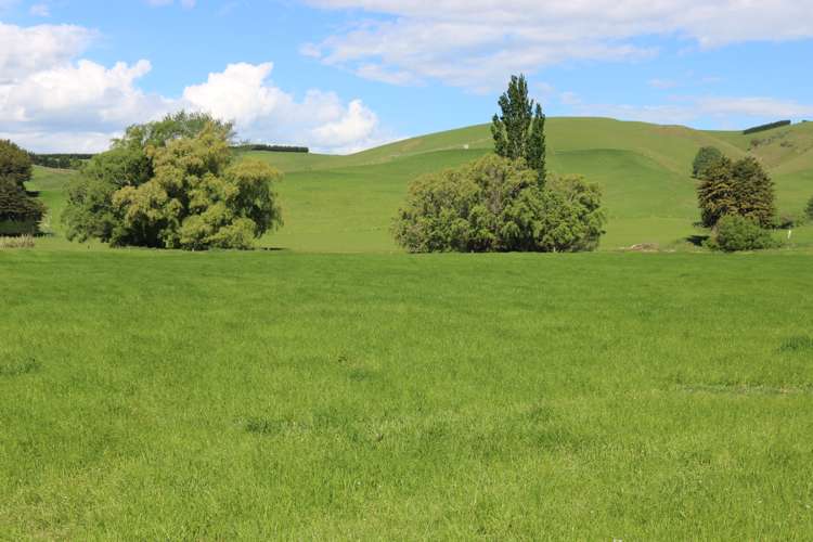 386 Otama Valley Road Gore Surrounds_7