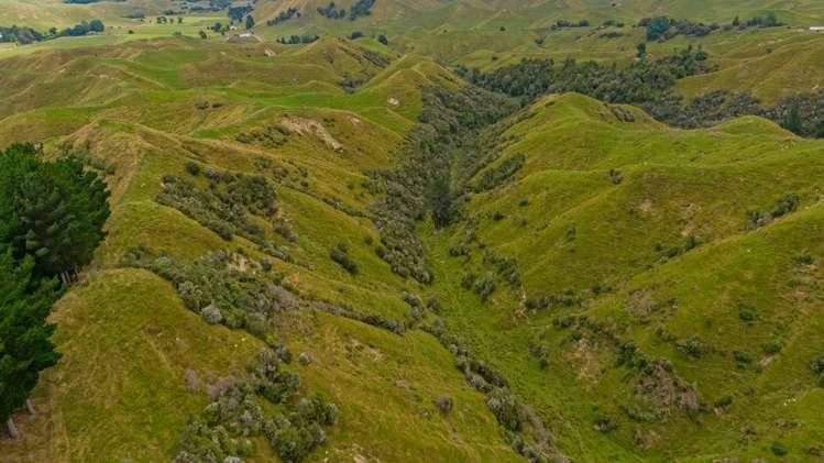 240 Agnews Road Hunterville_7