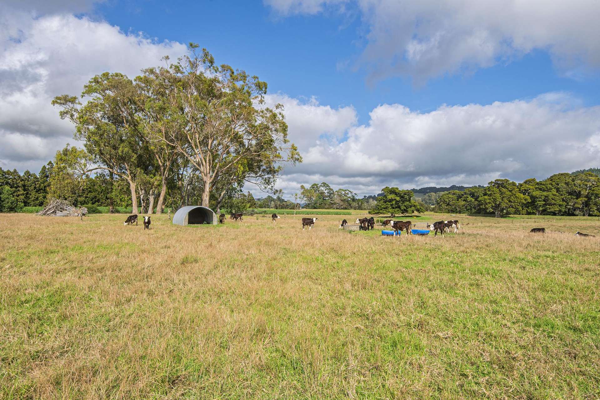 85-87 Old North Rd Whakapara_0