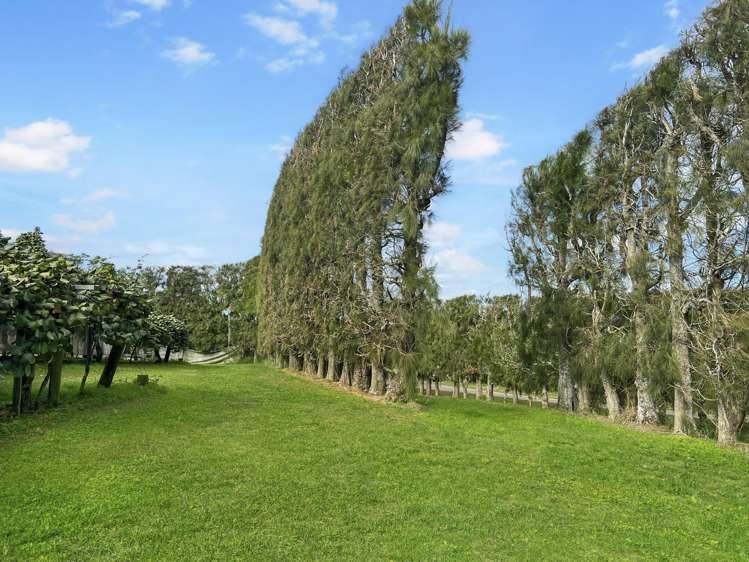 155a Gow Road Opotiki Coastal_18