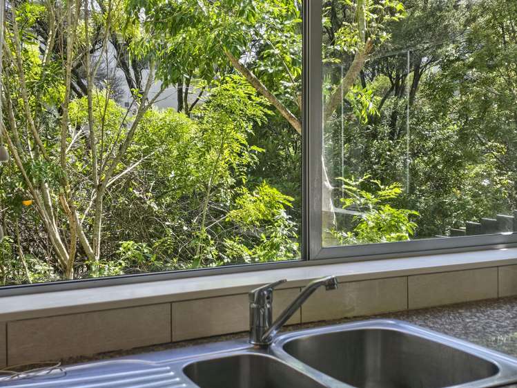 232 Schnapper Rock Road Schnapper Rock_9