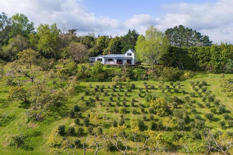 262A Work Road Katikati_27