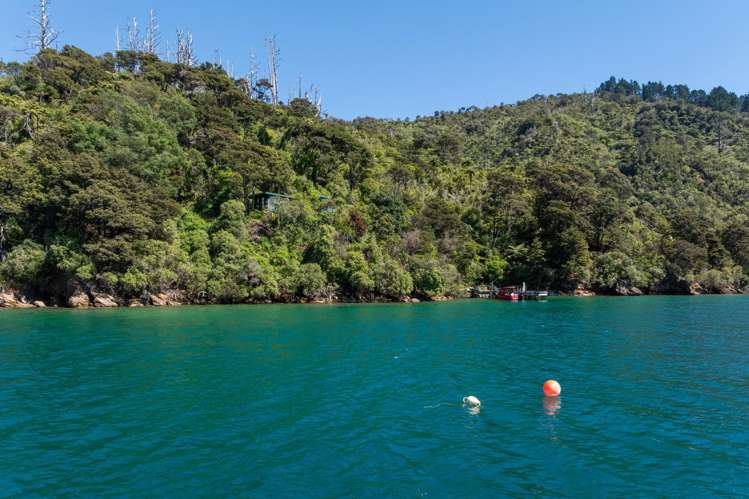 110 Lochmara Bay Marlborough Sounds_21
