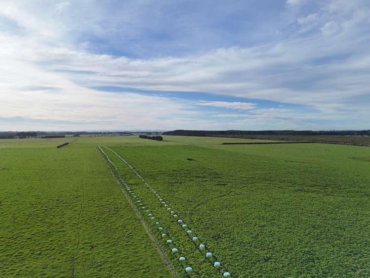 427 + 585 Marshall Road Awarua_11