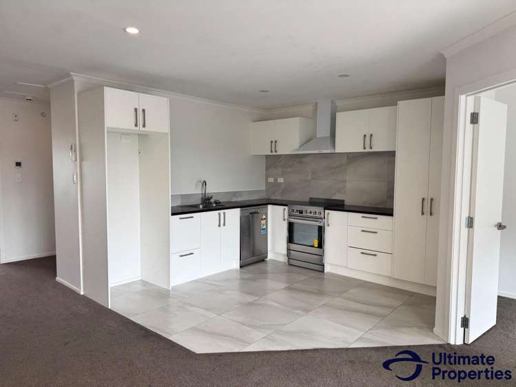 2/41 High Street (Unit 2) Frankton_1