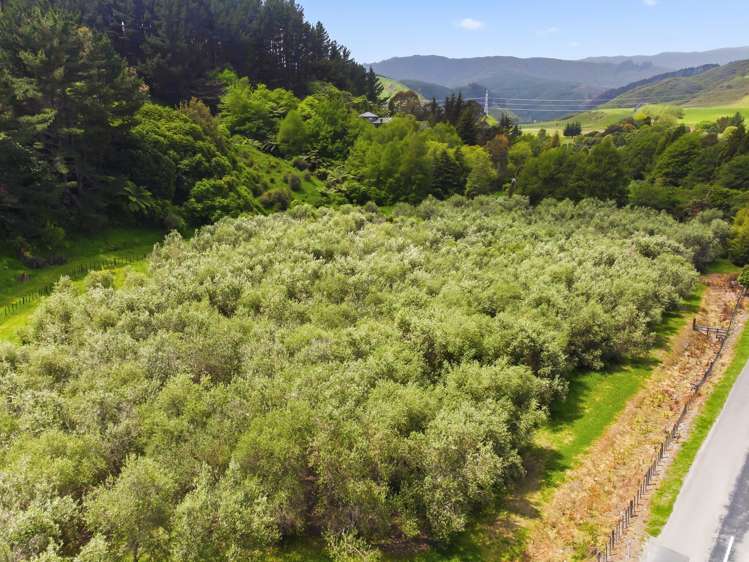 258 Waitohu Valley Road Otaki_35