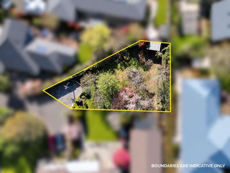 43B Birchs Road_4