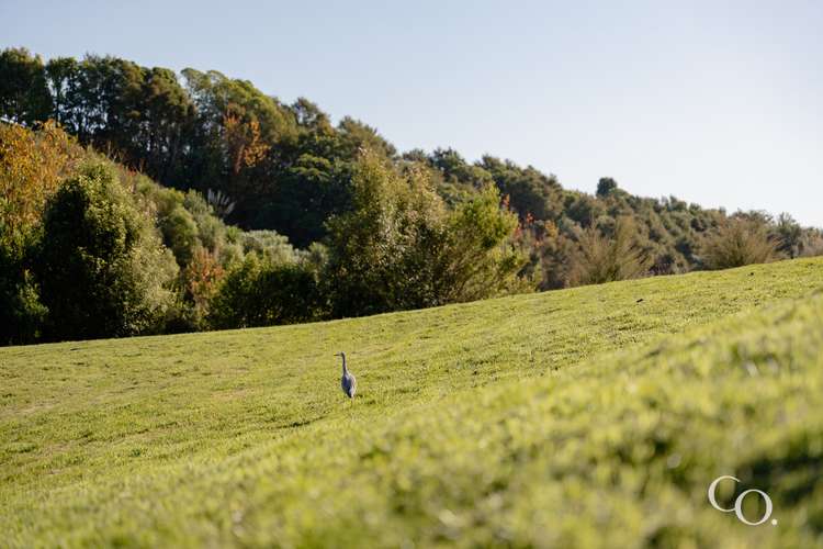 45 Te Auhi Way Welcome Bay_34