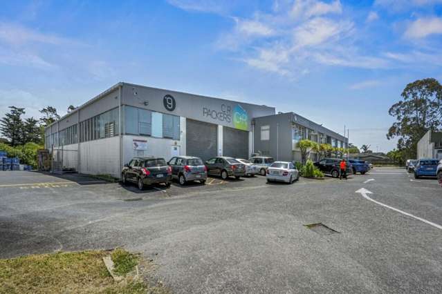 9 Canon Place Pakuranga_4