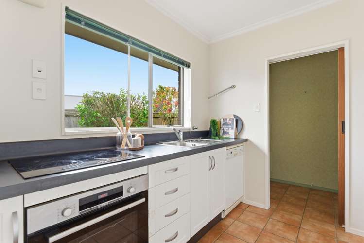 24a Phoenix Avenue Hokowhitu_5