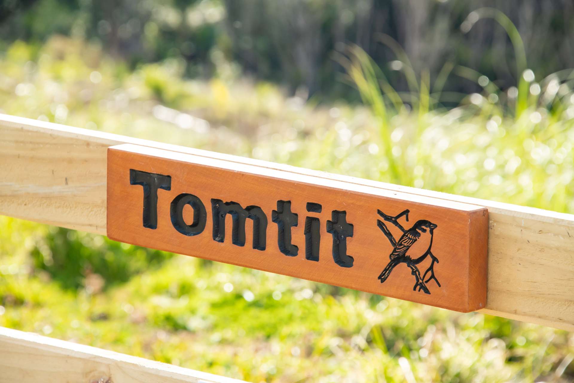 Lot 8/220 Tuhirangi Road Makarau_0