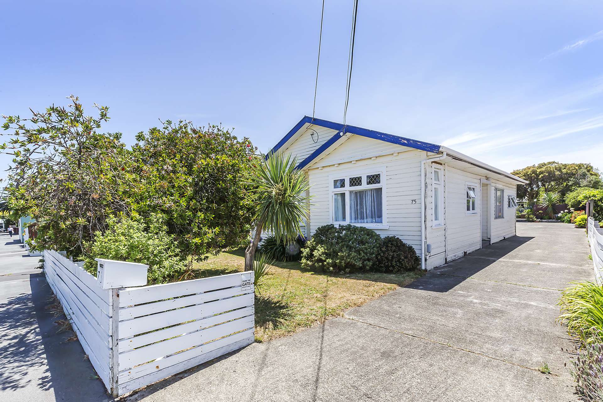 75 Devonshire Road Miramar_0