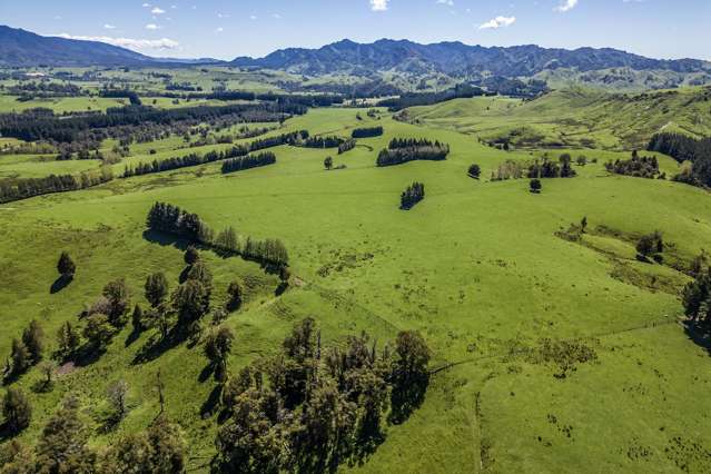 21 Carson Road Ongaonga_2