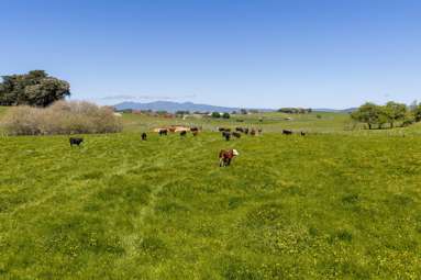 Lot Lot 1/287 Howden Road_4