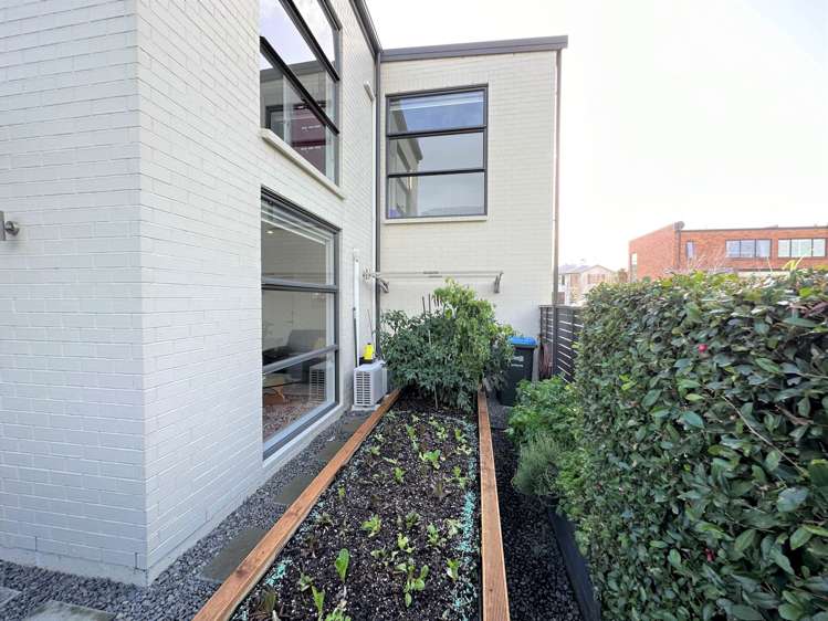 40 Styak Street Stonefields_17