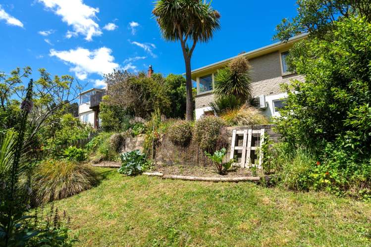 177 Evans Street Opoho_16