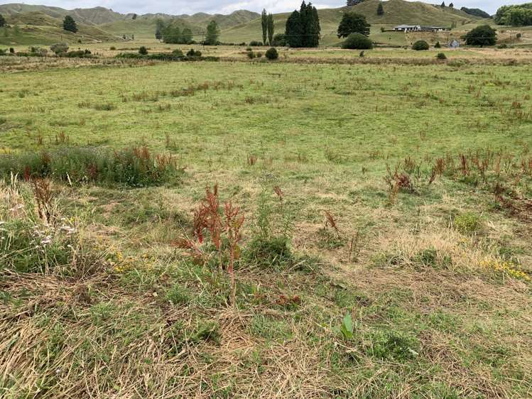 30 Heao Road Pohokura and Surrounds_19