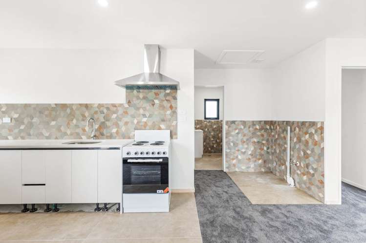 Birdwood Road Pukekohe_3