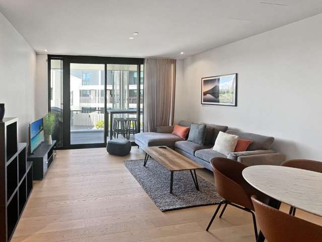 214/223A Greenlane West, Building A Epsom_1