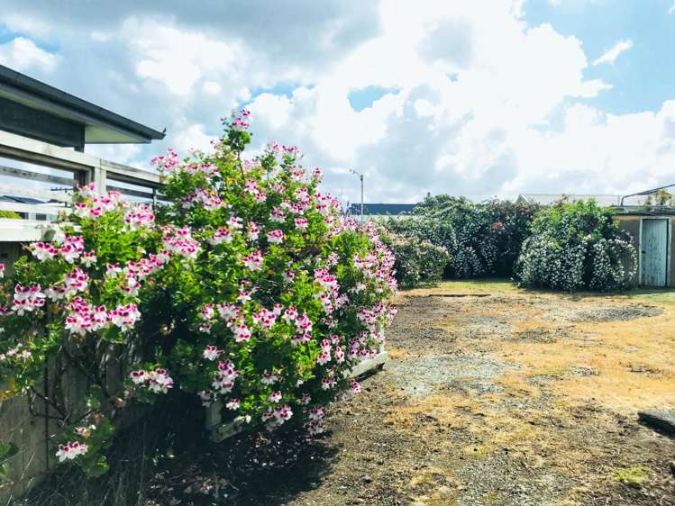 20 Rawalpindi Street Mount Albert_11