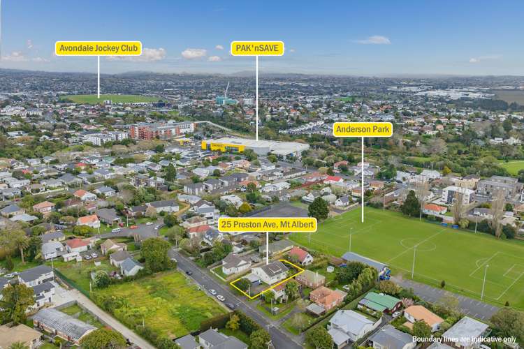 25 Preston Avenue Mount Albert_17