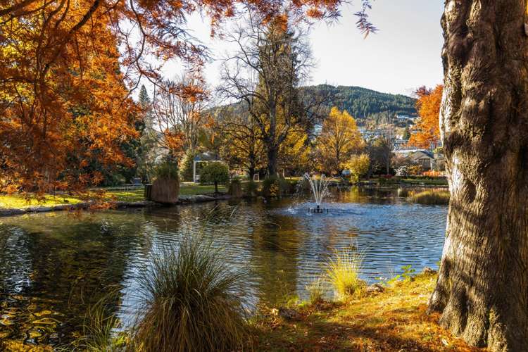 20 Park Street Queenstown_13