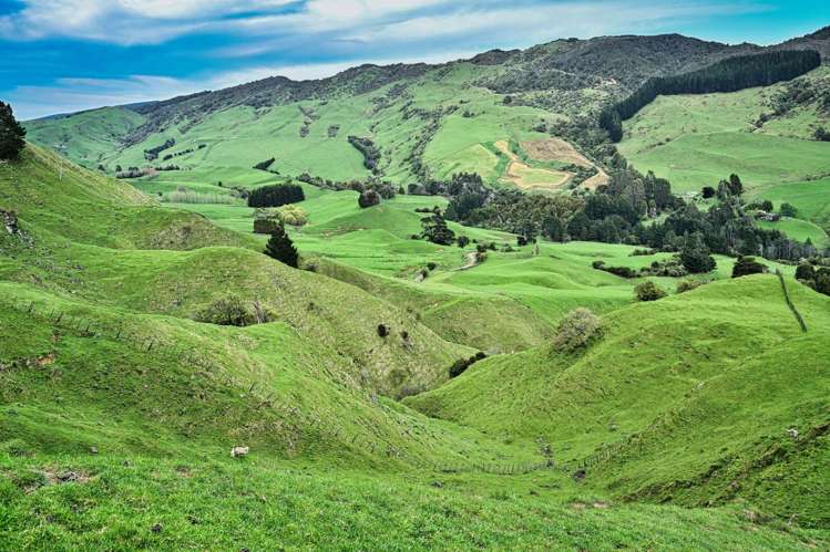 439 Rakauroa Road Matawai_15