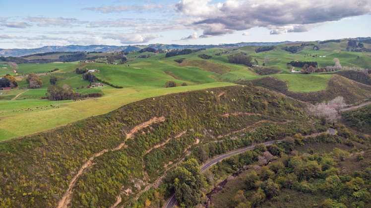 1961 SH 31, Kawhia Road Otorohanga_14