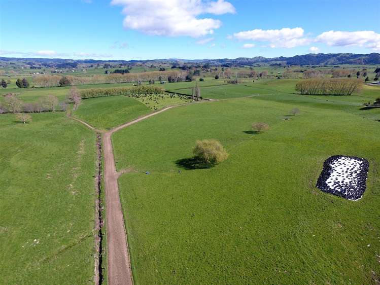 336 Grove Road Te Pahu_1