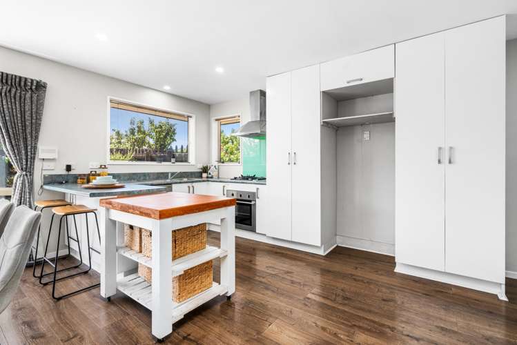 30 Scruttons Road Hillsborough_2