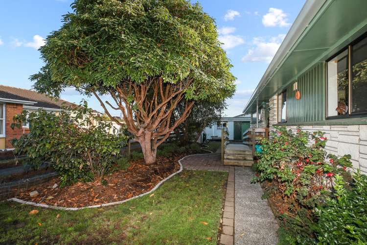 88 Haerehuka Street Otorohanga_16