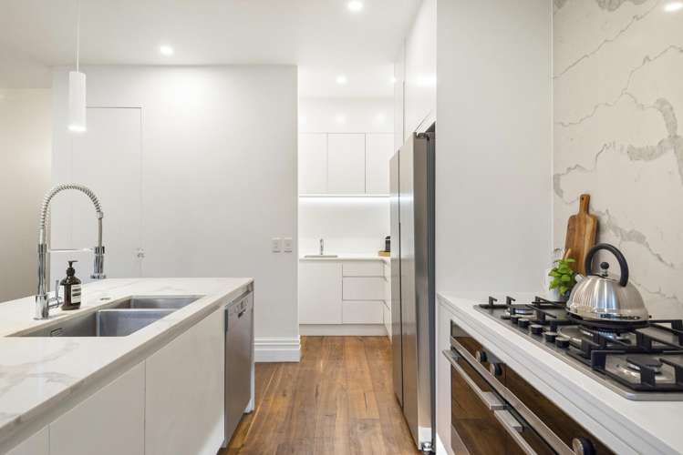 65 Albany Road Ponsonby_8