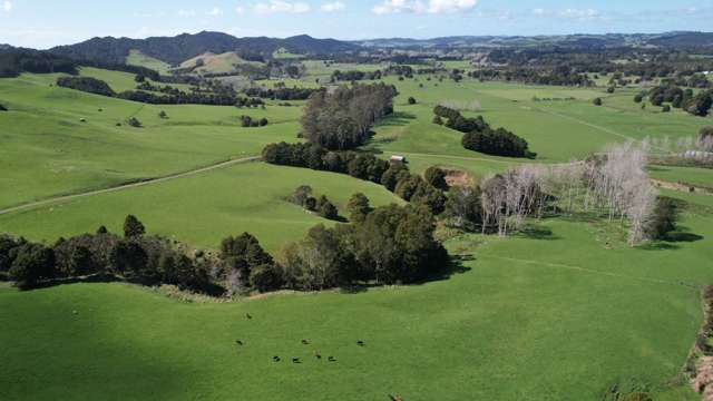 222ha Iconic Sheep & Beef Farm