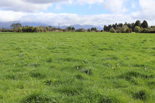 2403 Mountain Road Tariki_2