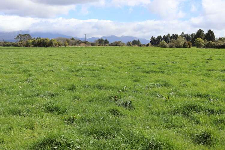 2403 Mountain Road Tariki_2