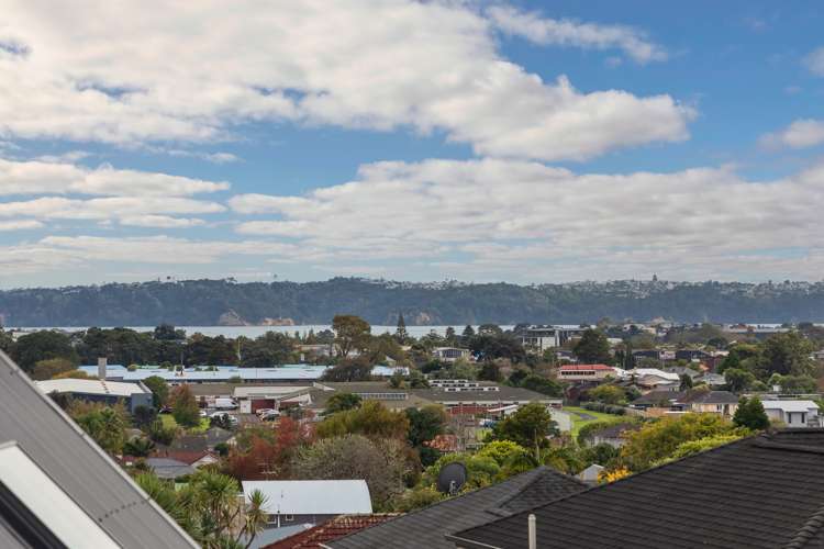 16b Seaview Terrace Mount Albert_16