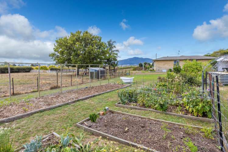 194 Proctor Road Orini_18