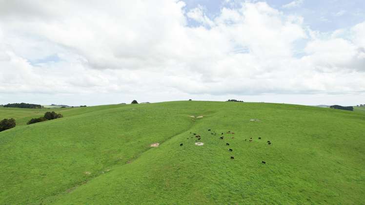 1108 Tokatoka Road Ruawai_9