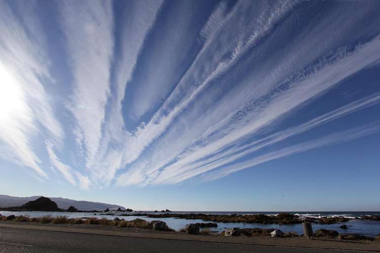 354 The Esplanade Island Bay_20